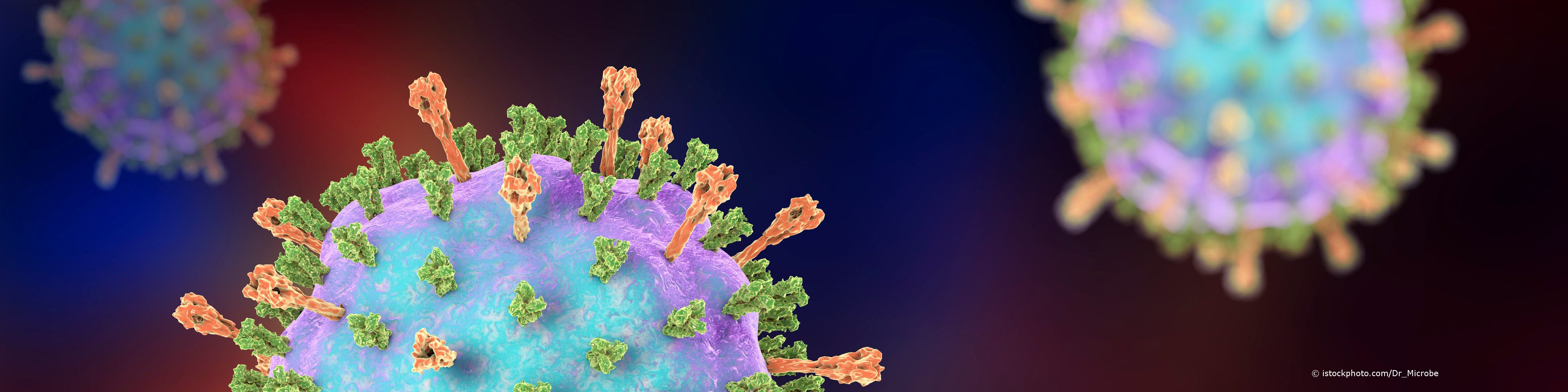 Mumps-Viren rufen die Infektionserkrankung Ziegenpeter hervor.
